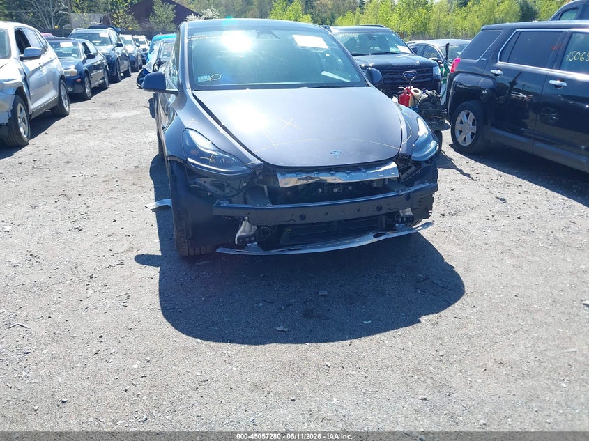 VIN: 7SAYGDED6PF948659 2023 TESLA MODEL Y RWD