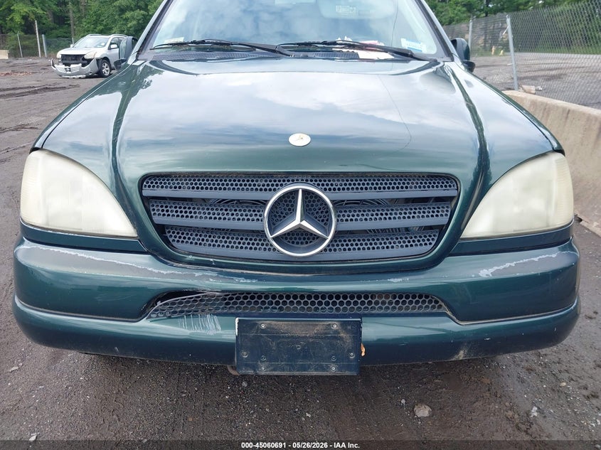 2000 Mercedes-Benz Ml 320 VIN: 4JGAB54E3YA189486 Lot: 45060691