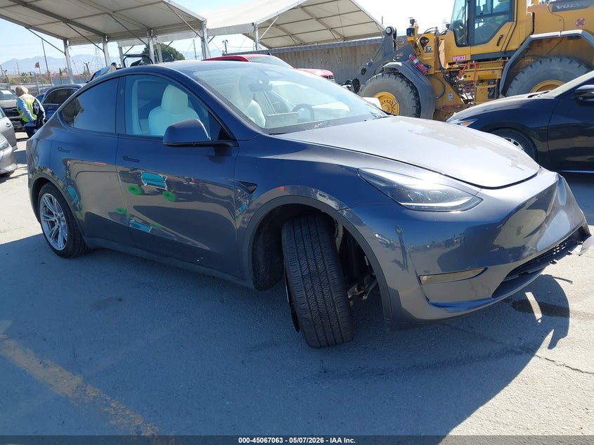 2023 TESLA MODEL Y RWD