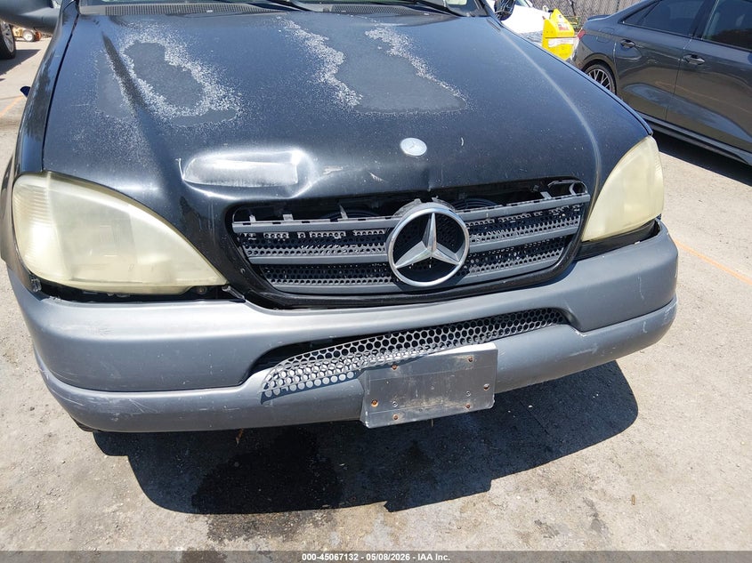 1999 Mercedes-Benz Ml 320 VIN: 4JGAB54E3XA123745 Lot: 45067132