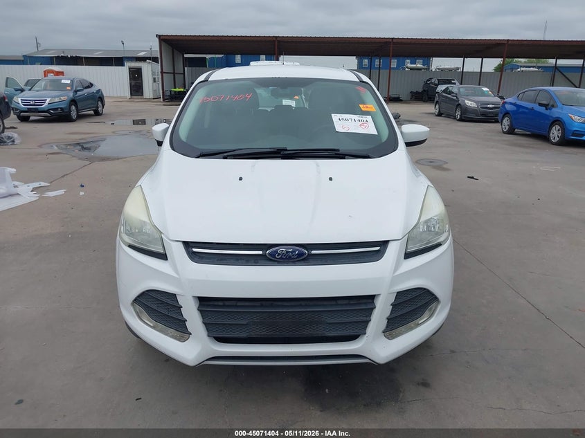 AtlanticExpress - Ford Escape