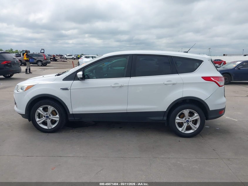 AtlanticExpress - Ford Escape
