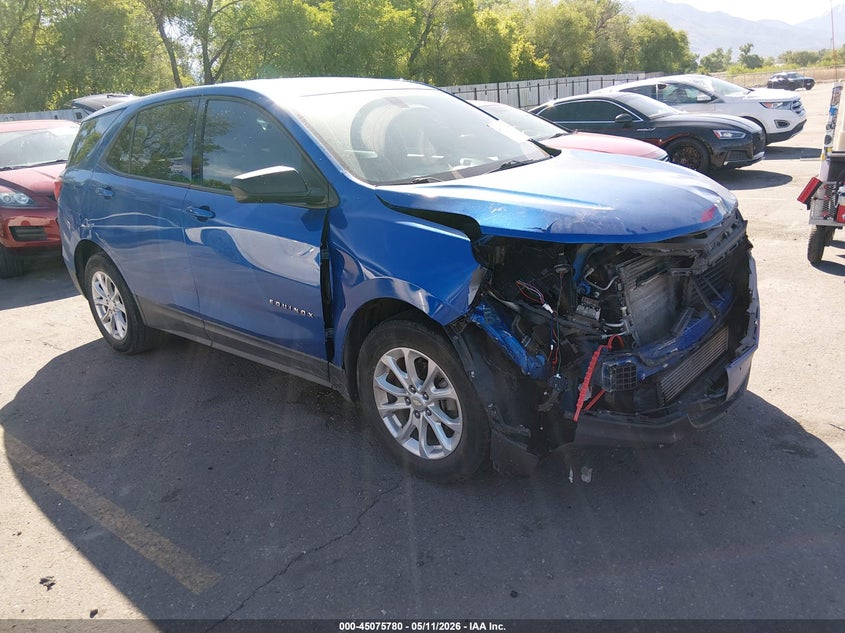 2019 CHEVROLET EQUINOX auction photo 1