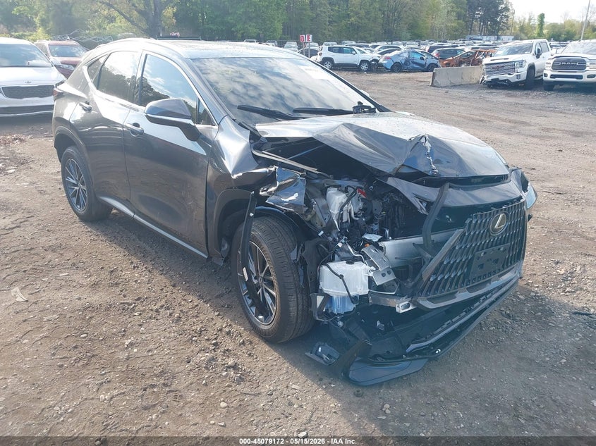 2026 LEXUS NX 350H auction photo 6