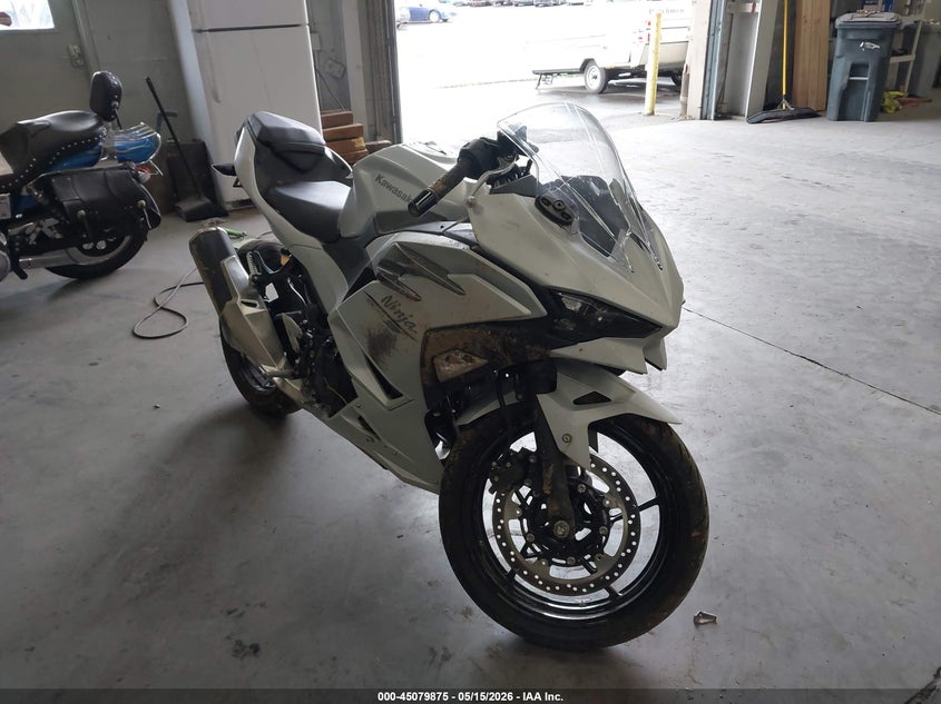 2025 Kawasaki Ex500