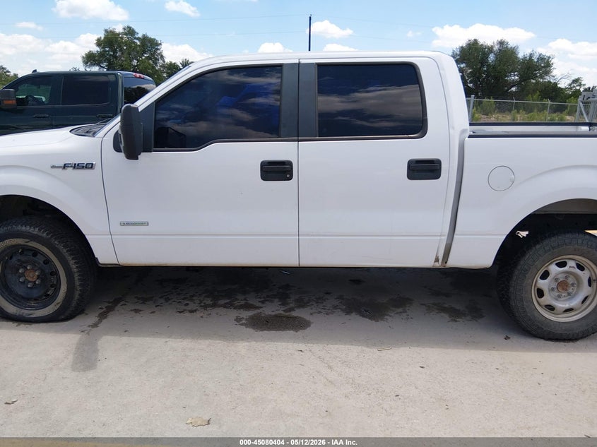 AtlanticExpress - Ford F-150