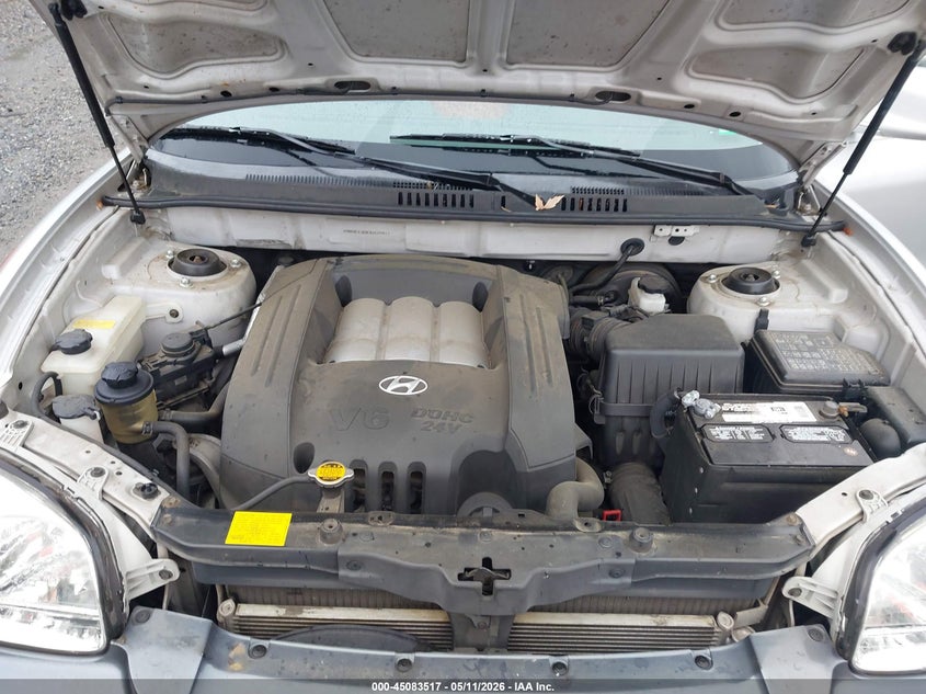 2003 Hyundai Santa Fe Gls/Lx VIN: KM8SC13D03U424811 Lot: 45083517