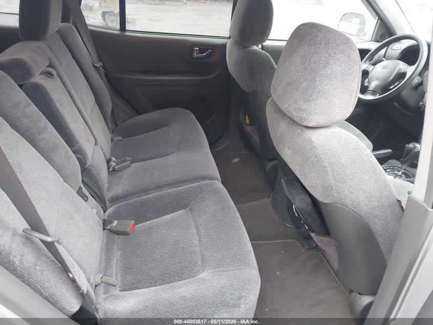 2003 Hyundai Santa Fe Gls/Lx VIN: KM8SC13D03U424811 Lot: 45083517