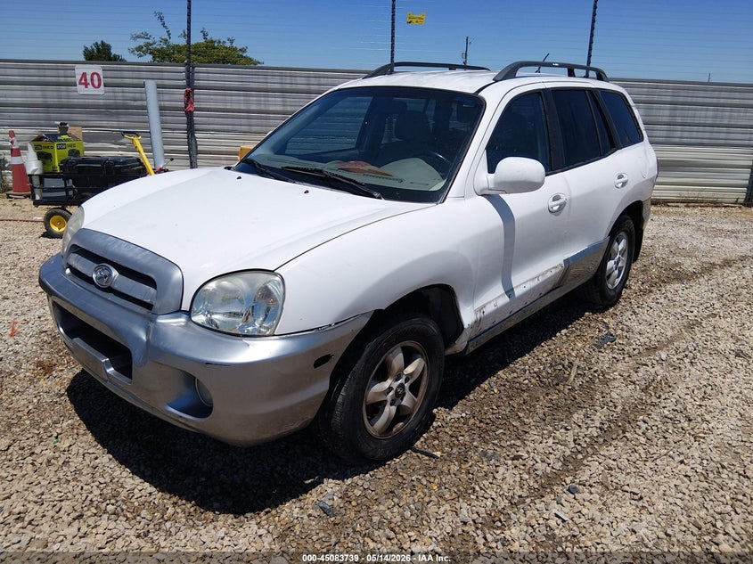 KM8SC13D06U072348 2006 Hyundai Santa Fe Gls photo 1