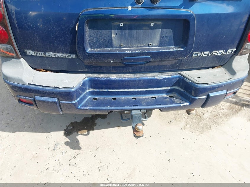 2003 Chevrolet Trailblazer Ls VIN: 1GNDS13S832169665 Lot: 45091684