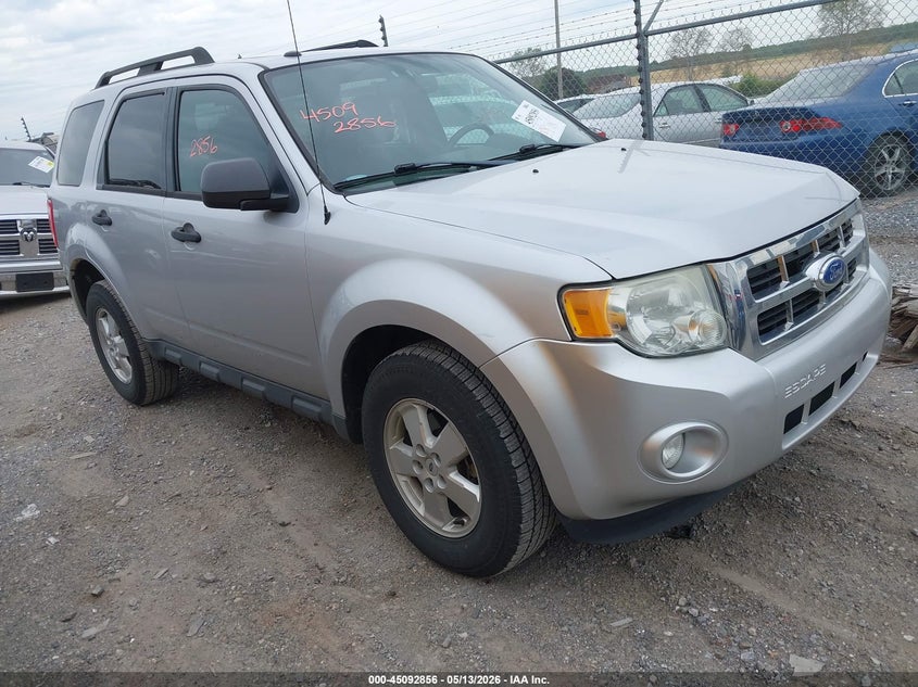 Vin: 1fmcu0dg0bkb95125, lot: 45590423, ford escape xlt 2011 img_1