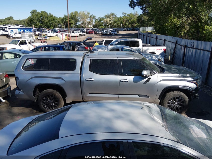 2022 Toyota Tundra Platinum VIN: 5TFNA5EC8NX009868 Lot: 45101968