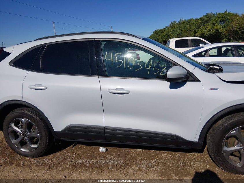 Nuotrauka 13