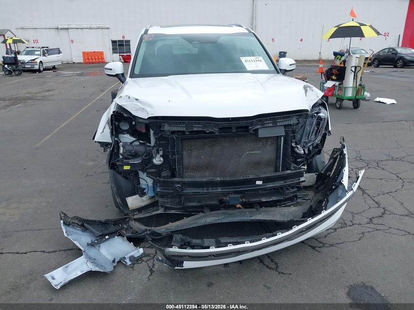 KIA TELLURIDE 2023 VIN 5XYP6DGC3PG361893