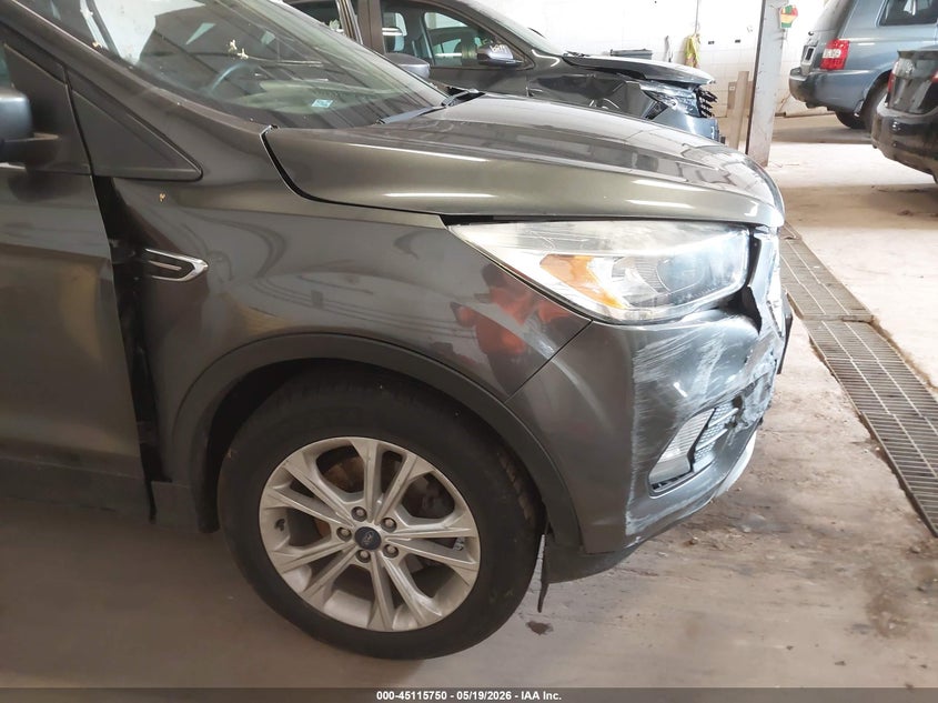 AtlanticExpress - Ford Escape