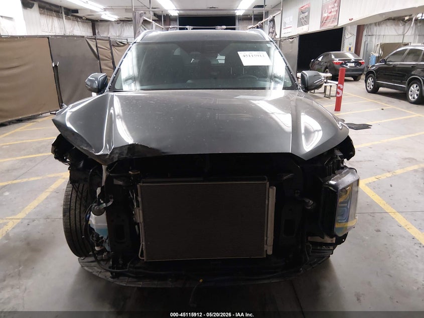 2025 Hyundai Palisade Sel Premium 8P VIN: KM8R44GE9SU916588 Lot: 45115912
