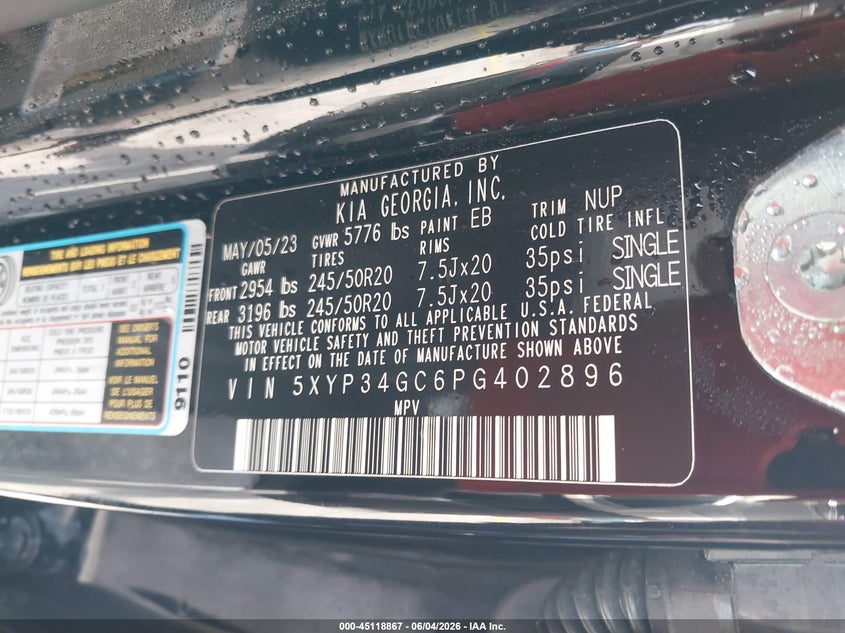2023 Kia Telluride Ex VIN: 5XYP34GC6PG402896 Lot: 45118867