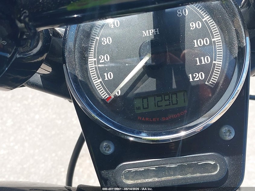 2013 Harley-Davidson Fxs Blackline VIN: 1HD1JPV11DB017006 Lot: 45119961