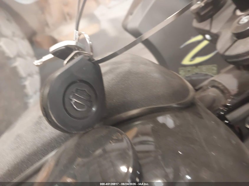 2024 Harley-Davidson Fxlrst VIN: 1HD1YXZ19RB036562 Lot: 45126917