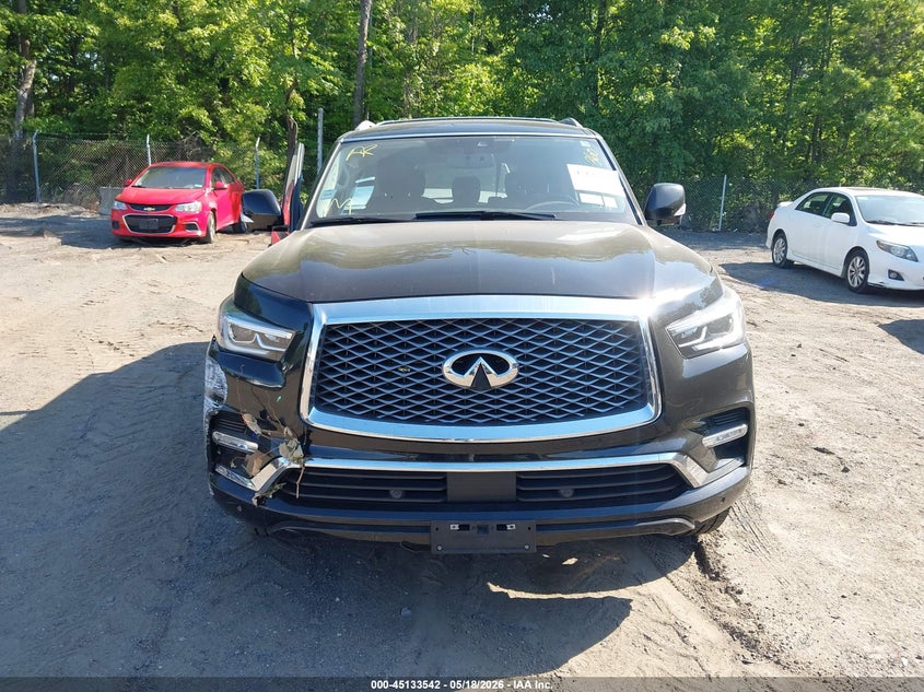 2019 Infiniti Qx80 Luxe VIN: JN8AZ2NC6K9460422 Lot: 45133542