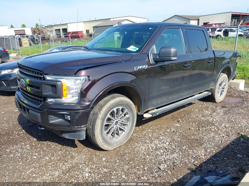 Vin: 1ftew1ep9lfb44650, lot: 45633522, ford f-150 xlt 20202