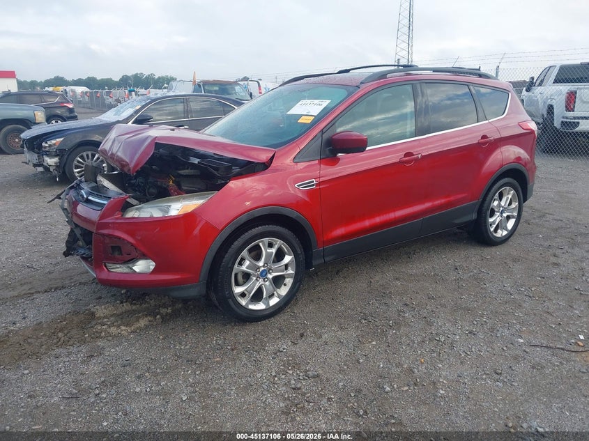 AtlanticExpress - Ford Escape