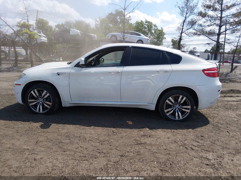 2013 BMW X6 M VIN: 5YMGZ0C53DLL30190 Lot: 45145797