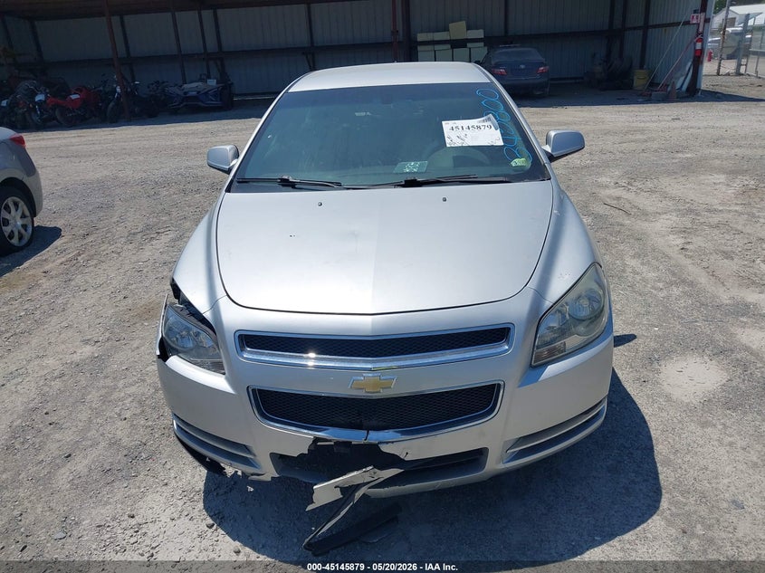 AtlanticExpress - Chevrolet Malibu
