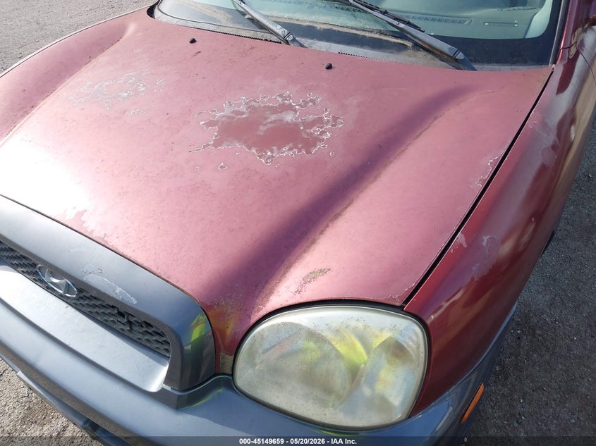 2003 Hyundai Santa Fe Gls/Lx VIN: KM8SC13E83U563304 Lot: 45149659