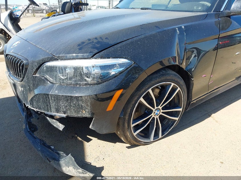 2020 BMW 230I xDrive VIN: WBA2K1C05L7F93824 Lot: 45163521