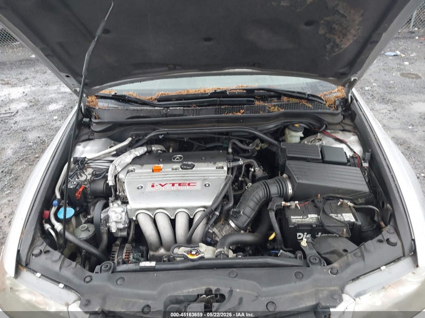 2004 Acura Tsx VIN: JH4CL96854C031981 Lot: 45163659