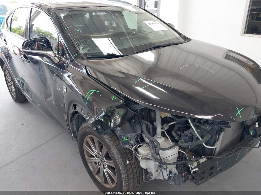 2020 Lexus Nx 300 VIN: JTJDARBZ5L5001616 Lot: 45164676