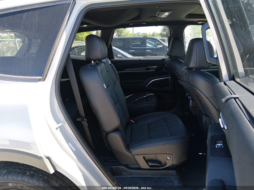 2025 Kia Telluride Sx X-Line VIN: 5XYP5DGC7SG610398 Lot: 45166736