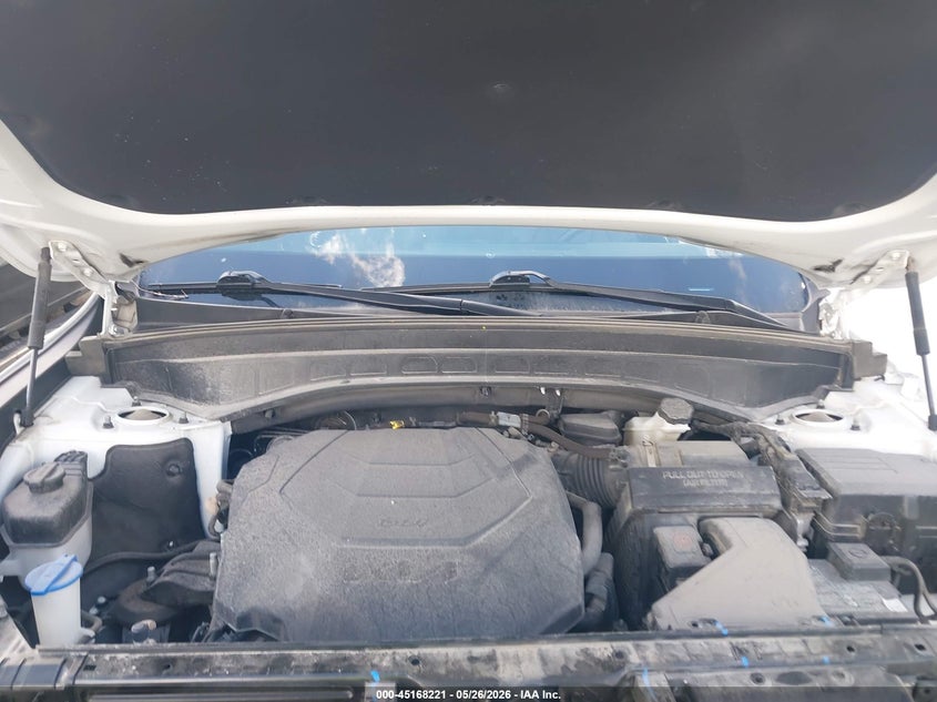 2023 Kia Telluride Sx VIN: 5XYP5DGC7PG377680 Lot: 45168221