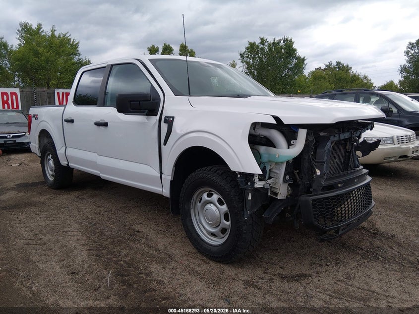 FORD F-150 XL 2021