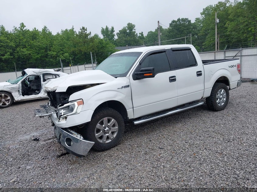 Vin: 1ftfw1ef1efd03062, lot: 45667384, ford f-150 xlt 20142