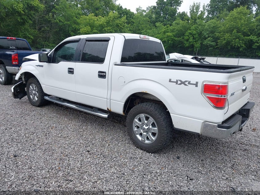 Vin: 1ftfw1ef1efd03062, lot: 45667384, ford f-150 xlt 20143