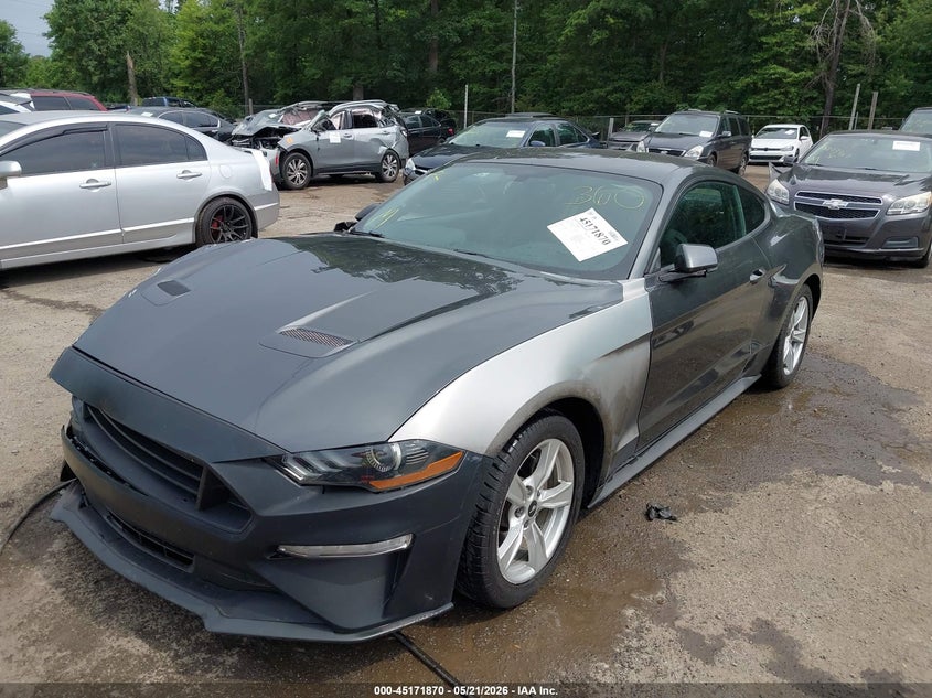 2020 Ford Mustang Ecoboost Fastback 1FA6P8TH4L5145674 photo 1
