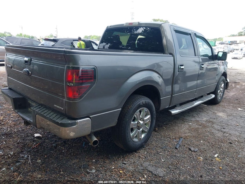 Vin: 1ftew1cm5dfd22144, lot: 45669917, ford f-150 xlt 20134