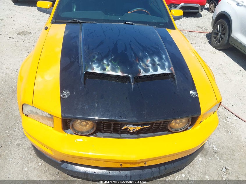 2007 Ford Mustang Gt Deluxe/Gt Premium VIN: 1ZVFT82HX75235308 Lot: 45176790