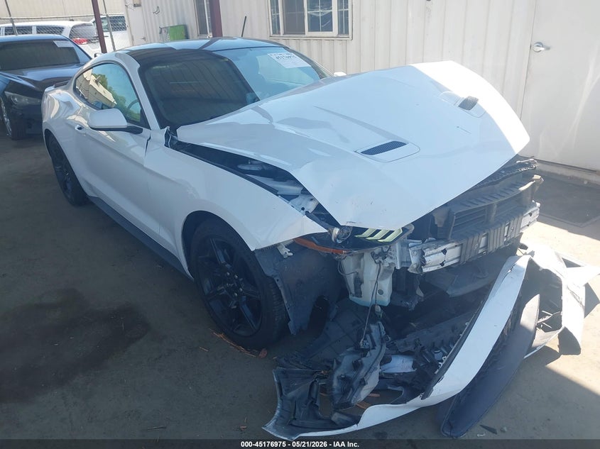 2019 Ford Mustang Ecoboost