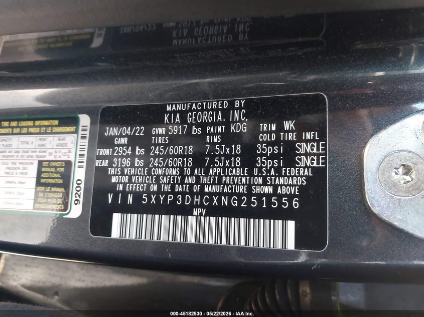 2022 Kia Telluride Ex VIN: 5XYP3DHCXNG251556 Lot: 45182530
