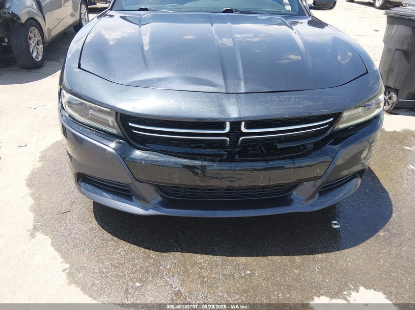 Nuotrauka 6