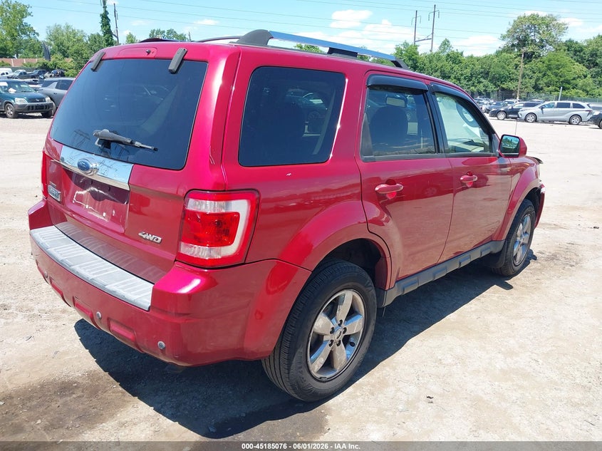 AtlanticExpress - Ford Escape