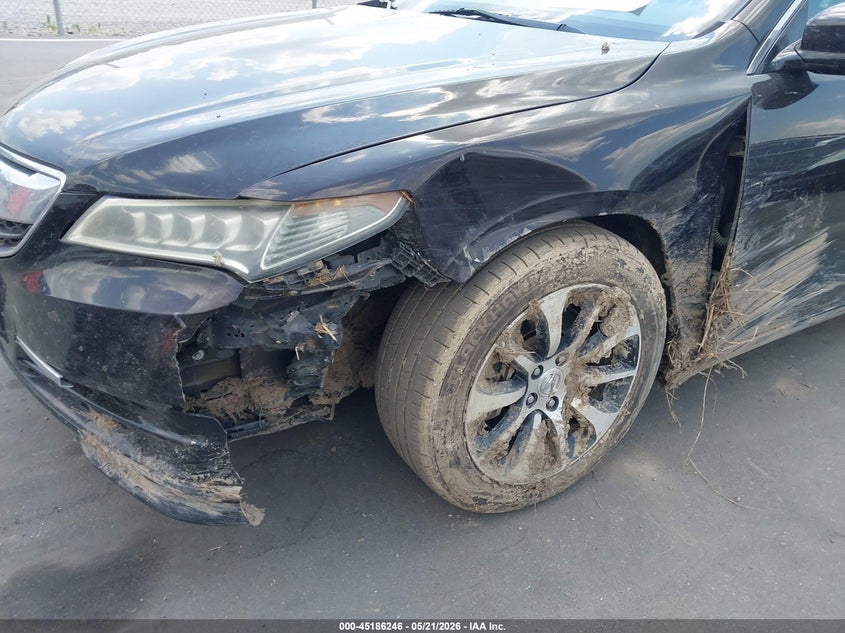 2015 ACURA TLX auction photo 6