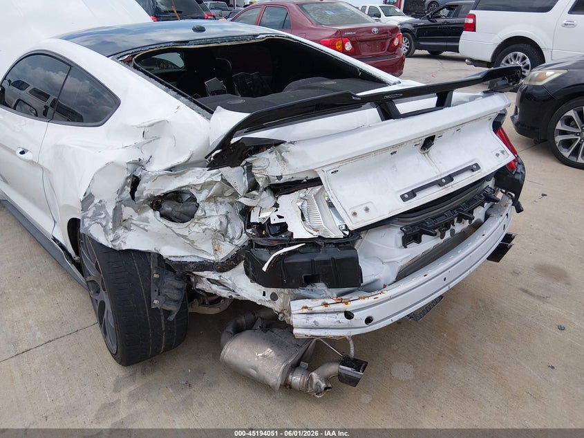 Nuotrauka 6