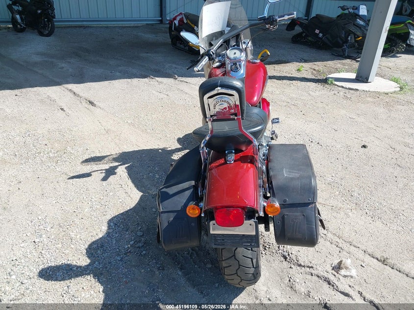 2009 Harley-Davidson Fxdf VIN: 1HD1GY4149K307186 Lot: 45196109