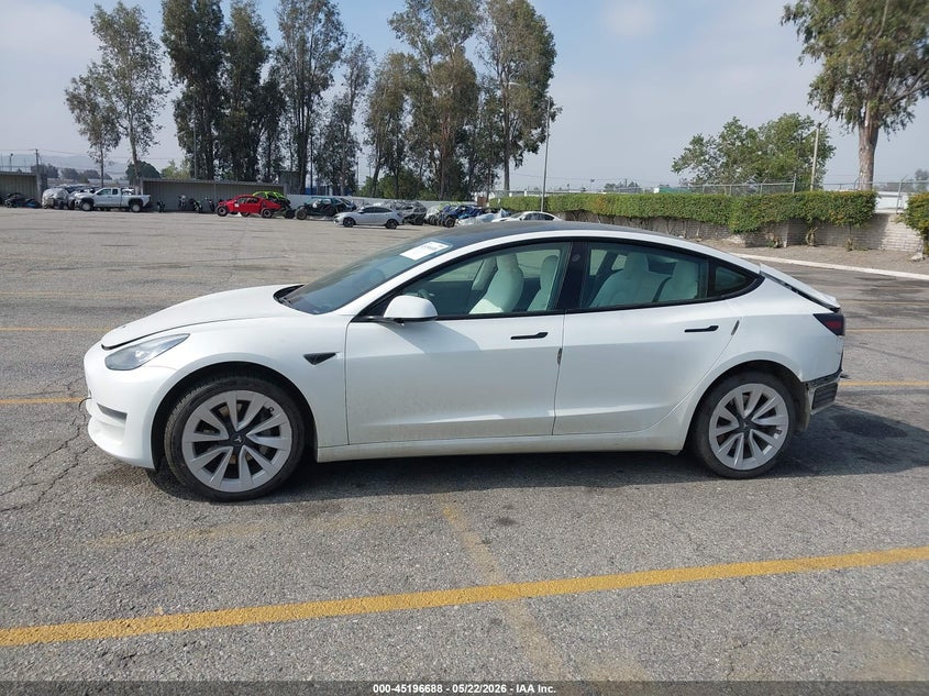 AtlanticExpress - Tesla Model 3