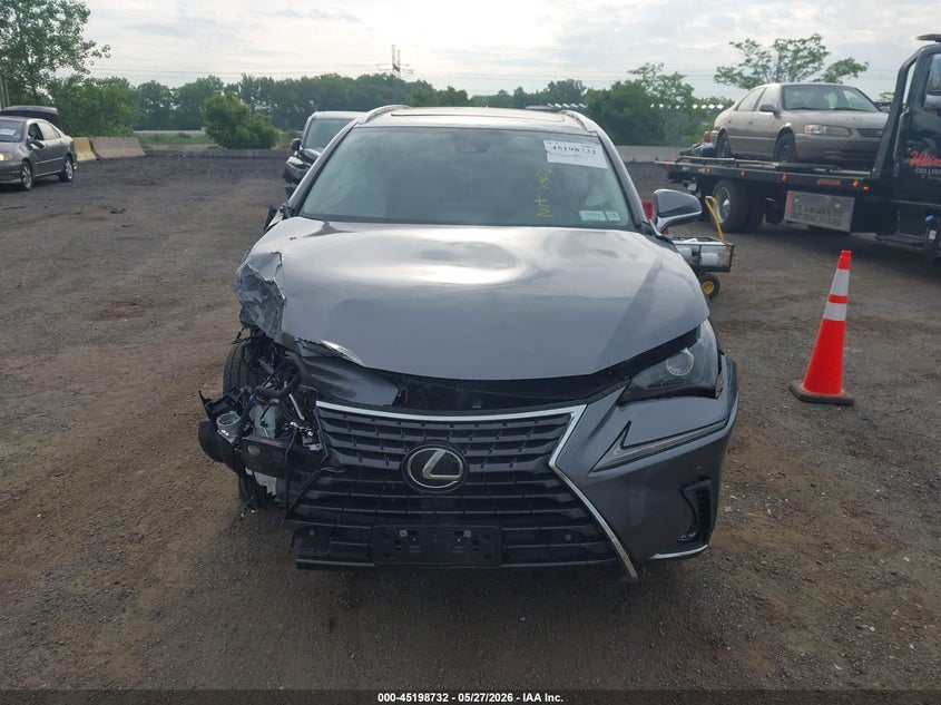 2021 Lexus Nx 300 VIN: JTJDARDZ2M2259219 Lot: 45198732