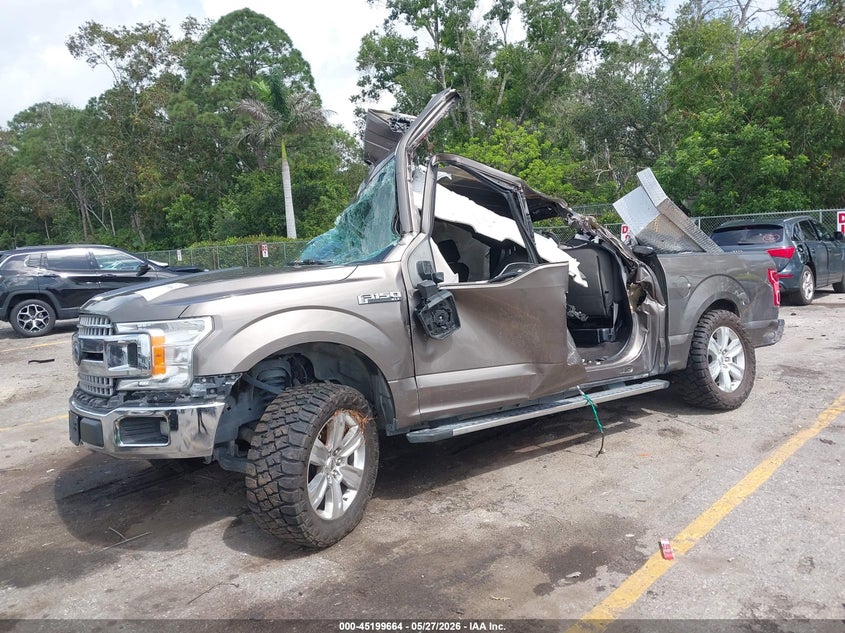 Vin: 1ftew1cp0kfb33683, lot: 45697392, ford f-150 xlt 20192